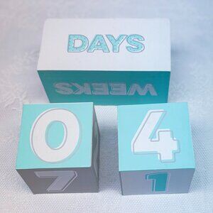 Newborn Milestone Blocks Days Months Years Nursery Decor Baby Gift Counting Toy